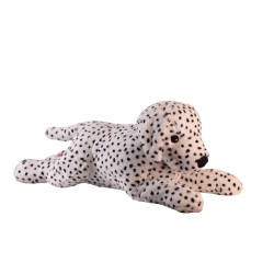 Mey İthalat® 1140 90 CM DALMAÇYALI KÖPEK