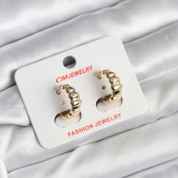 Mey İthalat® 14K Gold Renk Kaplama CM Kadın Küpe