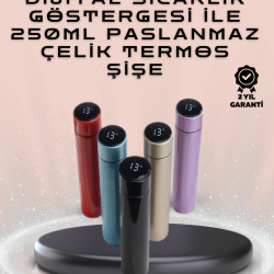 Mey İthalat® 250ml LED Ekranlı Paslanmaz Çelik Akıllı Termos
