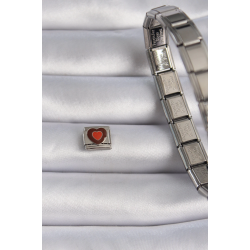 Mey İthalat® 316L Çelik Gümüş Renk Kahverengi Kalp İşlemeli Nomination Charm