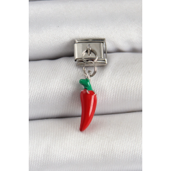 Mey İthalat® 316L Çelik Gümüş Renk Kapya Biber Model Nomination Charm