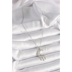 Mey İthalat® 316L Çelik Gümüş Renk Zincir Zirkon Taşlı Hilal Model Sallantı Yaprak Detay Kadın Kolye