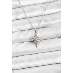 Mey İthalat® 316L Çelik Gümüş Renk Zirkon Taşlı Kutup Yıldızı Model Kadın Kolye