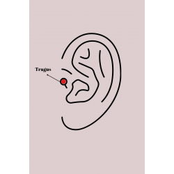 Mey İthalat® 316L Çelik Gümüş Renk Zirkon Taşlı Toplu İğne Tragus Piercing