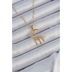 Mey İthalat® 316L Çelik Zincir Altın Renk İşlemeli Zirkon Taşlı Ay Kolye