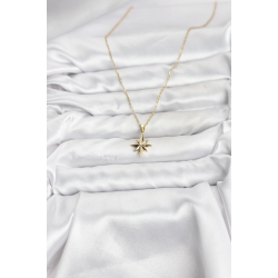 Mey İthalat® 316L Çelik Zincir Gold Renk Kutup Yıldızı Model Kadın Kolye