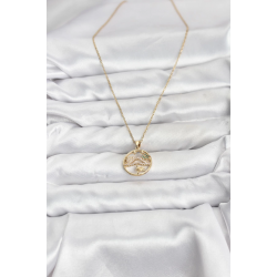 Mey İthalat® 316L Çelik Zincir Gold Renk Şans Kolyesi Model Zirkon Taşlı Kadın Kolye