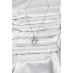 Mey İthalat® 316L Çelik Zincir Gümüş Renk Deniz Tema Model Zirkon Taşlı Kadın Kolye