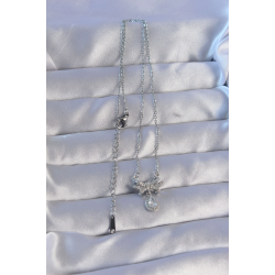 Mey İthalat® 316L Çelik Zincirli Gümüş Renk Zirkon Taşlı Damla Detay Fiyonk Model Kolye
