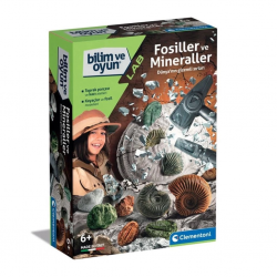 Mey İthalat® 64336 Bilim ve Oyun - Fosiller ve Mineraller Kazı Seti
