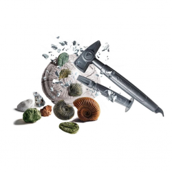 Mey İthalat® 64336 Bilim ve Oyun - Fosiller ve Mineraller Kazı Seti