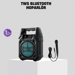 Mey İthalat® 6.5 İnç Bluetooth Hoparlör Mikrofonlu Taşınabilir Karaoke ve Parti Sistemi