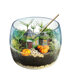 Mey İthalat®  81141 Teraryum - Hagridin Kulübesi