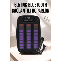 Mey İthalat® Bluetooth Hoparlör RGB Işıklı USB SD Kart Girişli Taşınabilir
