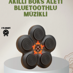 Mey İthalat® Bluetoothlu Akıllı Boks Antrenman Cihazı Işıklı Hedefli Kardiyo ve Fitness Aleti