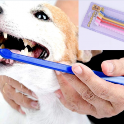 Mey İthalat® Çift Taraflı Hayvan Diş Fırçası 4 lü set