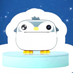 Mey İthalat® Çocuklar İçin Özel Fotoğraf Makinesi Printer Kamera Taşınabilir HD