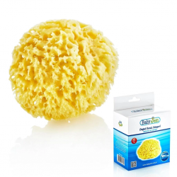 Mey İthalat®  Doğal Deniz Süngeri 163