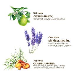 Mey İthalat®   Erkek Roll On Deodorant 75 ml Active