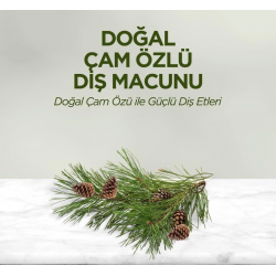 Mey İthalat®   Doğal Diş Macunu 90 Gr Çam Özlü