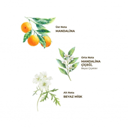 Mey İthalat®   Kolonya Pet Şişe Sprey 150 ml Bodrum Man ası