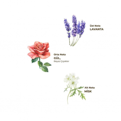 Mey İthalat®   Kolonya Pet Şişe Sprey 150 ml Lavanta