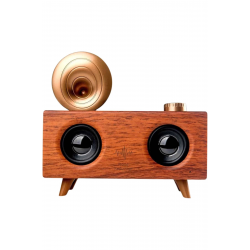 Mey İthalat® Gramafon Nostaljik Radyo Yüksek Ses Kalitesi USB TF Kart Aux