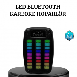 Mey İthalat® GTS 1793 Kablosuz Bluetooth Hoparlör 6.5 İnç Işıklı ve Güçlü Bass