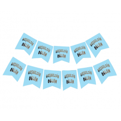 Mey İthalat® Hoşgeldin Oğlum Yazılı Mavi Üzeri Gümüş Yeni Doğan Bebek Doğum Süsü Afiş Bayrak Flama 2.2 Metre