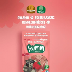 Mey İthalat® Organik Çilekli Glutensiz Vegan Mini Küpler 30 Gr
