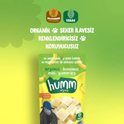 Mey İthalat® Humm Organik Muzlu Glutensiz Vegan Mini Küpler 30 Gr