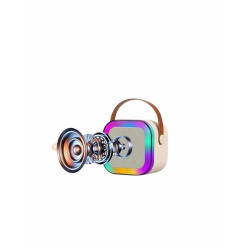 Mey İthalat® İki Mikrofonlu Renkli LED Işıklı Karaoke Cihazı