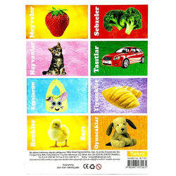 Mey İthalat® İlk 50 Sözcük Eğitici Flash Kart Oyunu