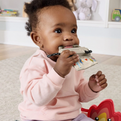 Mey İthalat® JLY84 Eğlen ve Öğren Kamp Macerası Seti