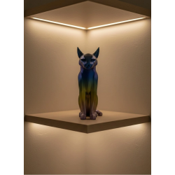 Mey İthalat® KOYU RAİNBOW KEDİ