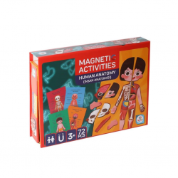 Mey İthalat® LC986ManyetikAktiviteİnsanAnatomisi-