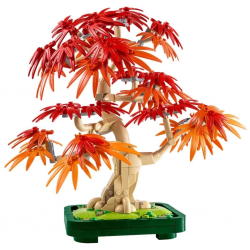 Mey İthalat® Botanicals Japon Kırmızı Akçaağaç Bonsai Ağacı 10348