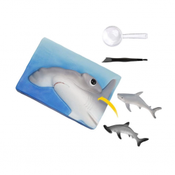 Mey İthalat® NAT07002 Köpek Balığı Bulma Kiti - TRHAMSHDIG +6 yaş