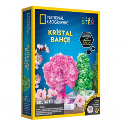 Mey İthalat® Natgeo Kristal Bitki Kiti
