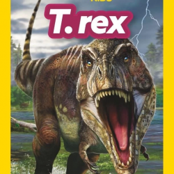 Mey İthalat® Kids – T.Rex