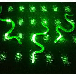 Mey İthalat® Şaka Yılan ve Kırkayak Karışık 36 Adet