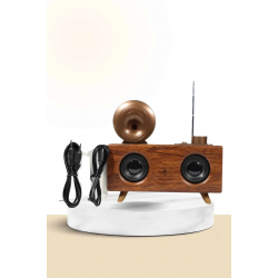 Mey İthalat® Nostaljik Radyo Bluetooth Bağlantılı Şarjlı Yüksek Ses Kaliteli
