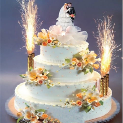 Mey İthalat®   Pasta tabı 1 Adet