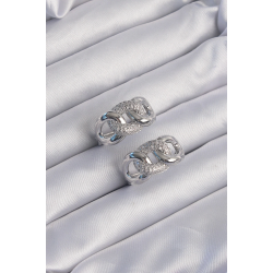 Mey İthalat® Pirinç Gümüş Renk Zirkon Taşlı Samanyolu Küpe