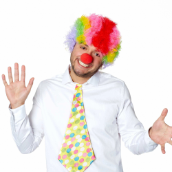 Mey İthalat® Rengarenk Kıvırcık Afro Bonus Peruk ve Kırmızı Burun Seti