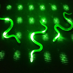 Mey İthalat® Şaka Yılan ve Kırkayak Karışık 36 Adet