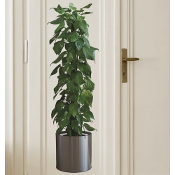 Mey İthalat® NessiWorld Saksılı Bitki Tasarımlı Yapışkanlı Sticker Resim 90*30 cm MC-665