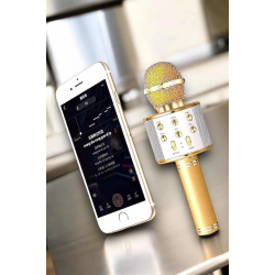 Mey İthalat® Şarjlı ve Uzun Pil Ömürlü Karaoke Mikrofon USB Bellek Destekli, Profesyonel Ses