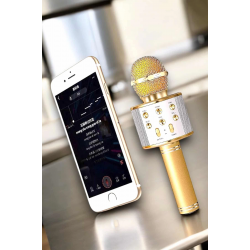 Mey İthalat® Şarjlı ve Uzun Pil Ömürlü Karaoke Mikrofon USB Bellek Destekli, Profesyonel Ses