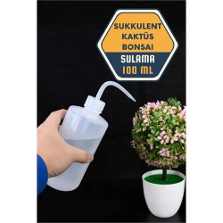 Mey İthalat® Sukkulent Kaktüs Bonsai Sulama Şişesi